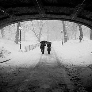 Meet your Posher, Robert